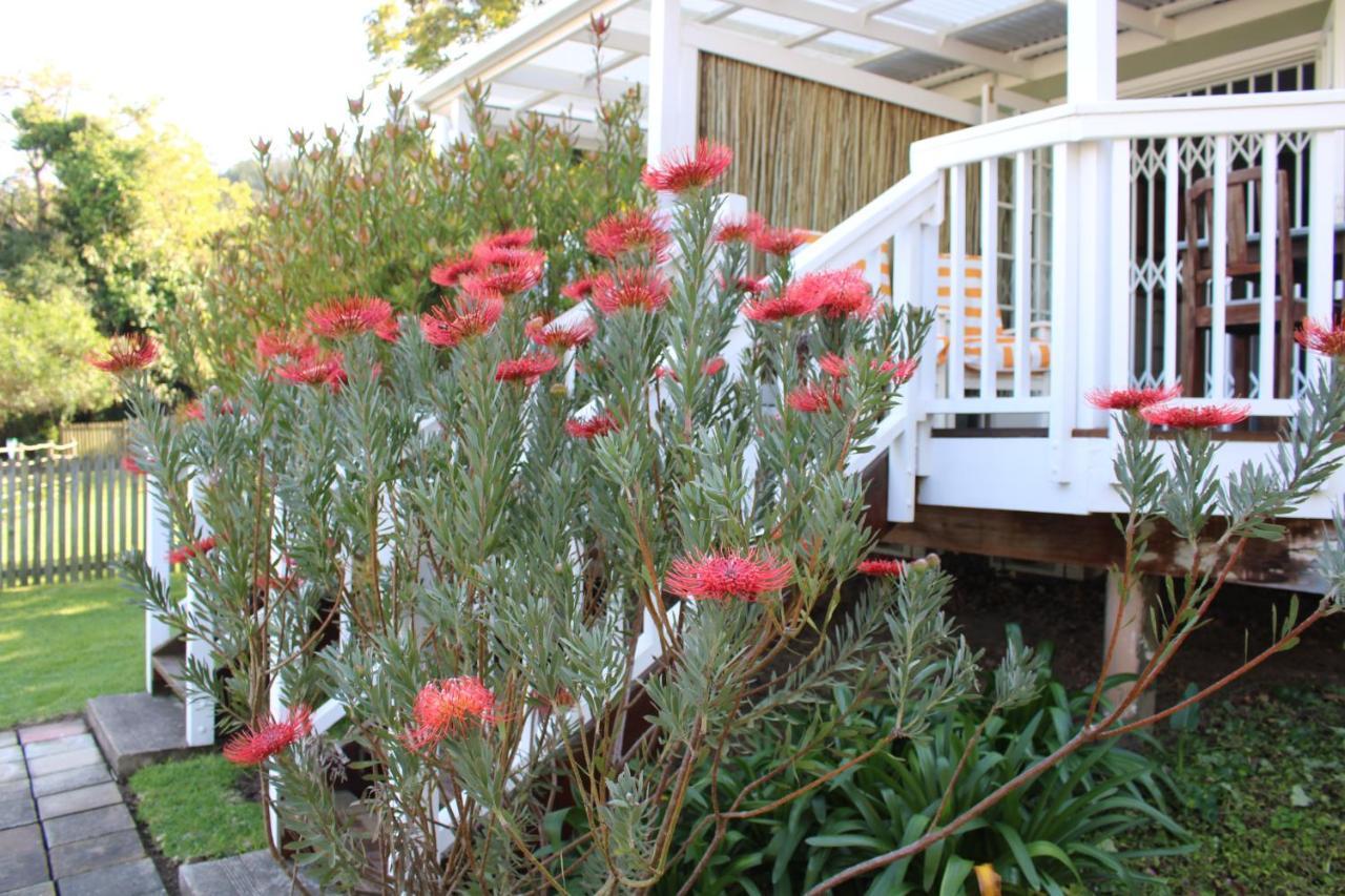 14 Mount Joy Hotel Knysna Exterior foto